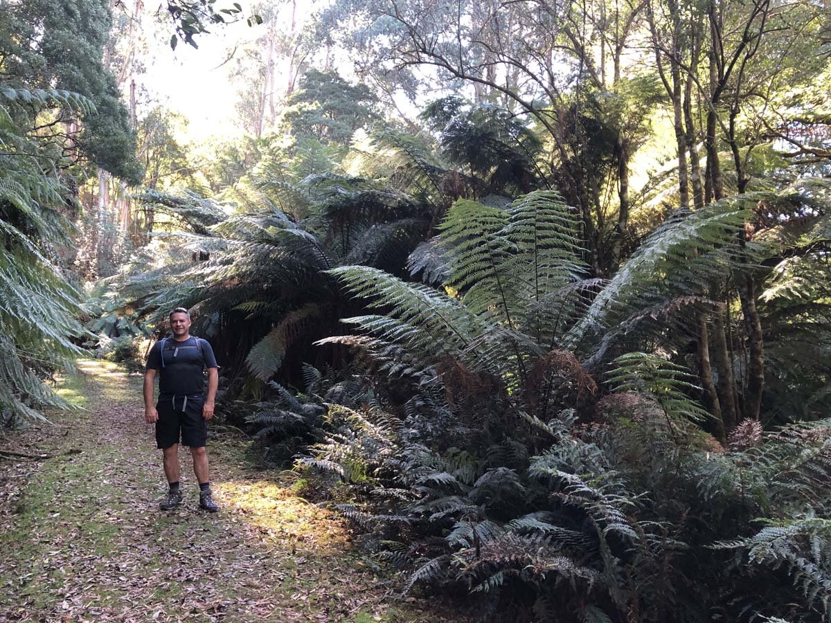 Tarra bulga scenic circuit 22