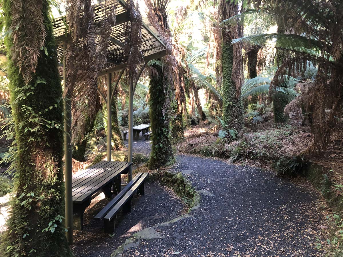 Tarra bulga scenic circuit 24