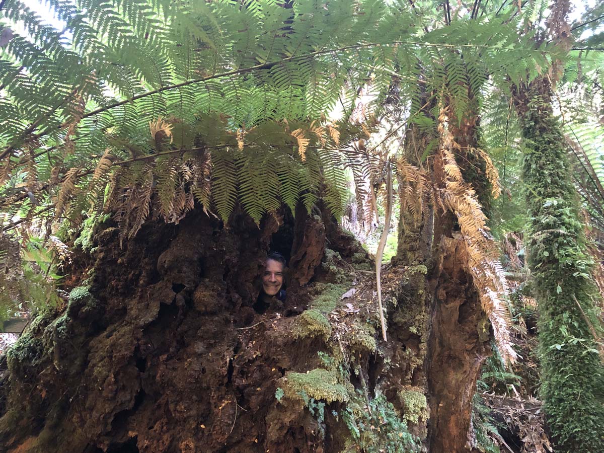 Tarra bulga scenic circuit 42
