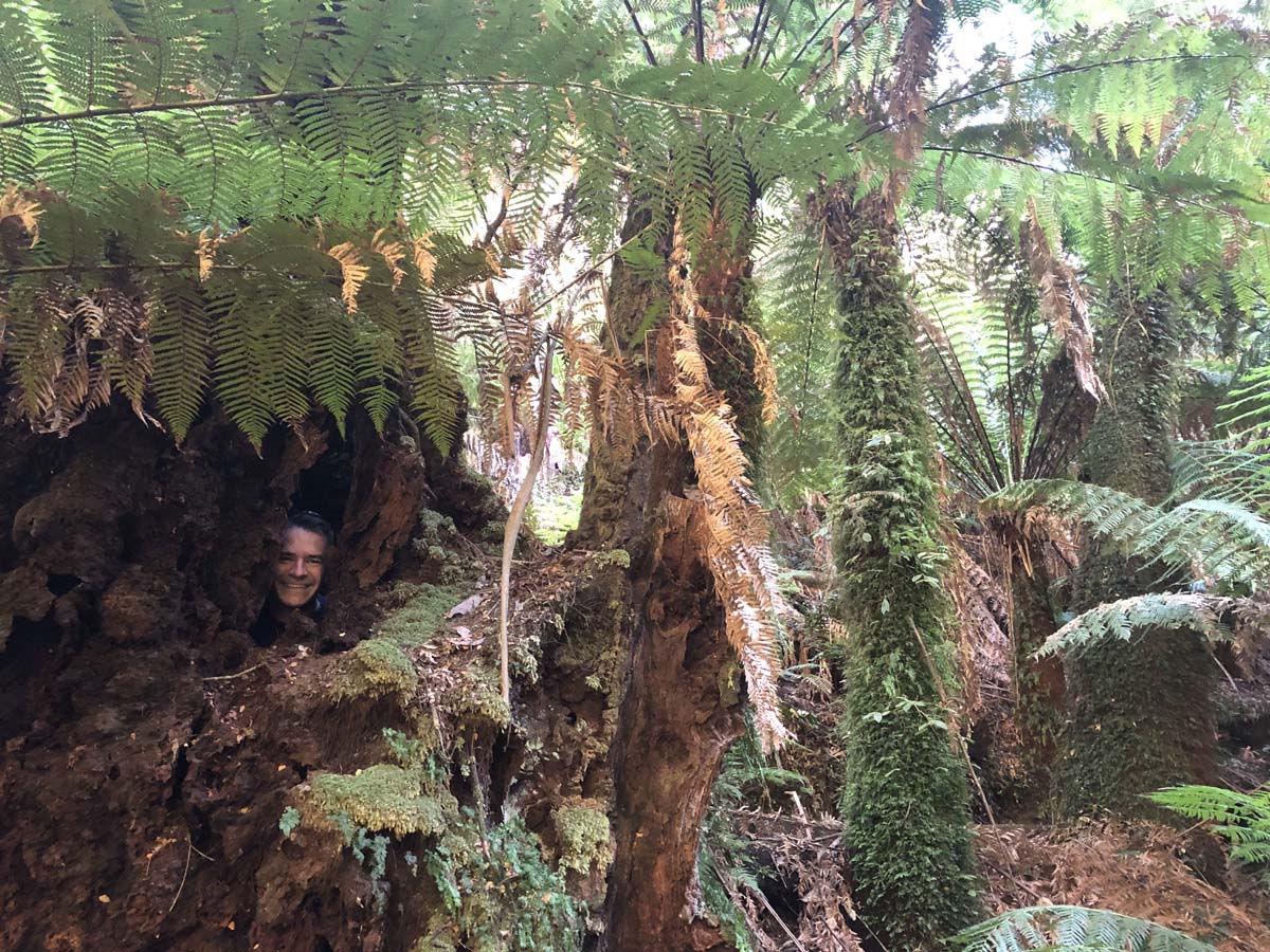 Tarra bulga scenic circuit 43