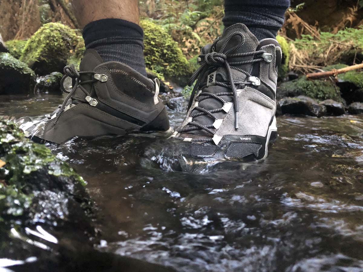 Tarra bulga scenic circuit 51