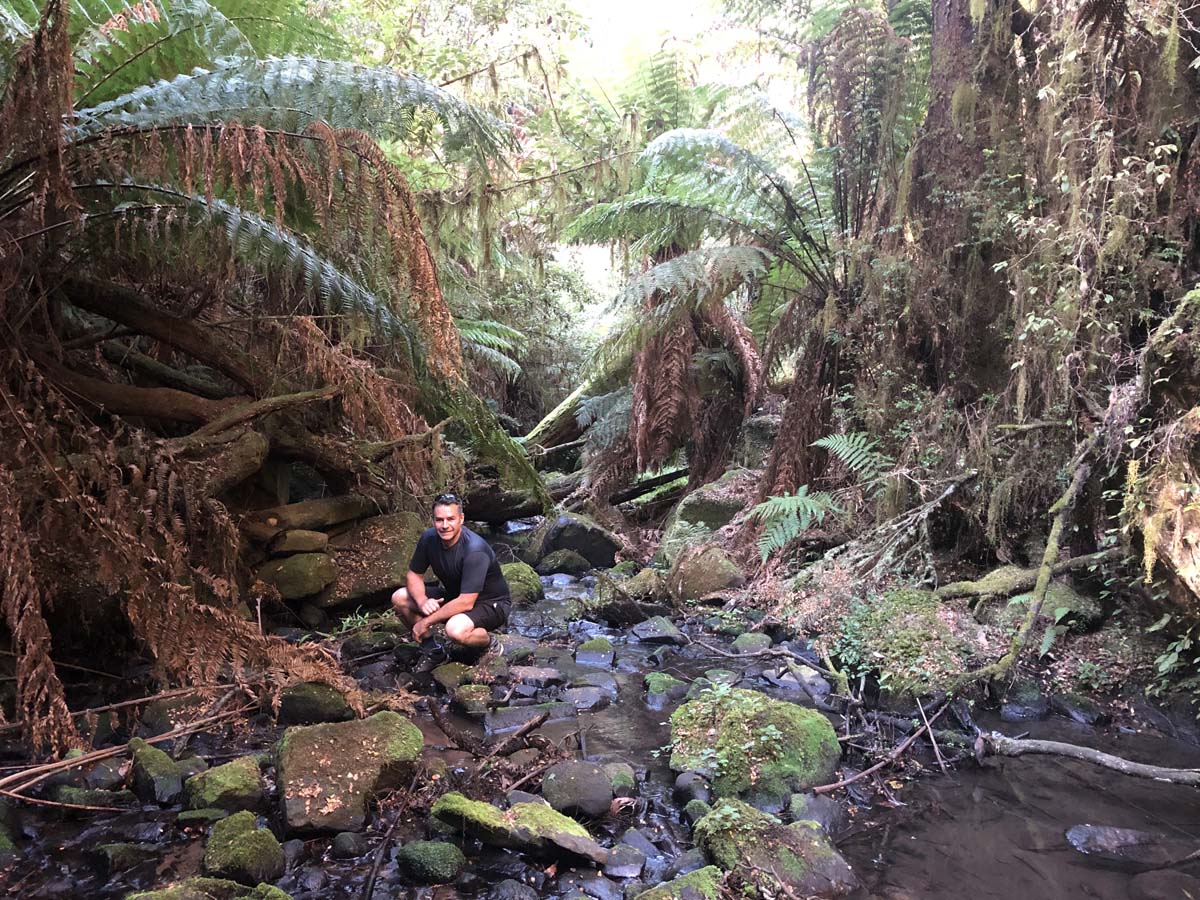 Tarra bulga scenic circuit 61