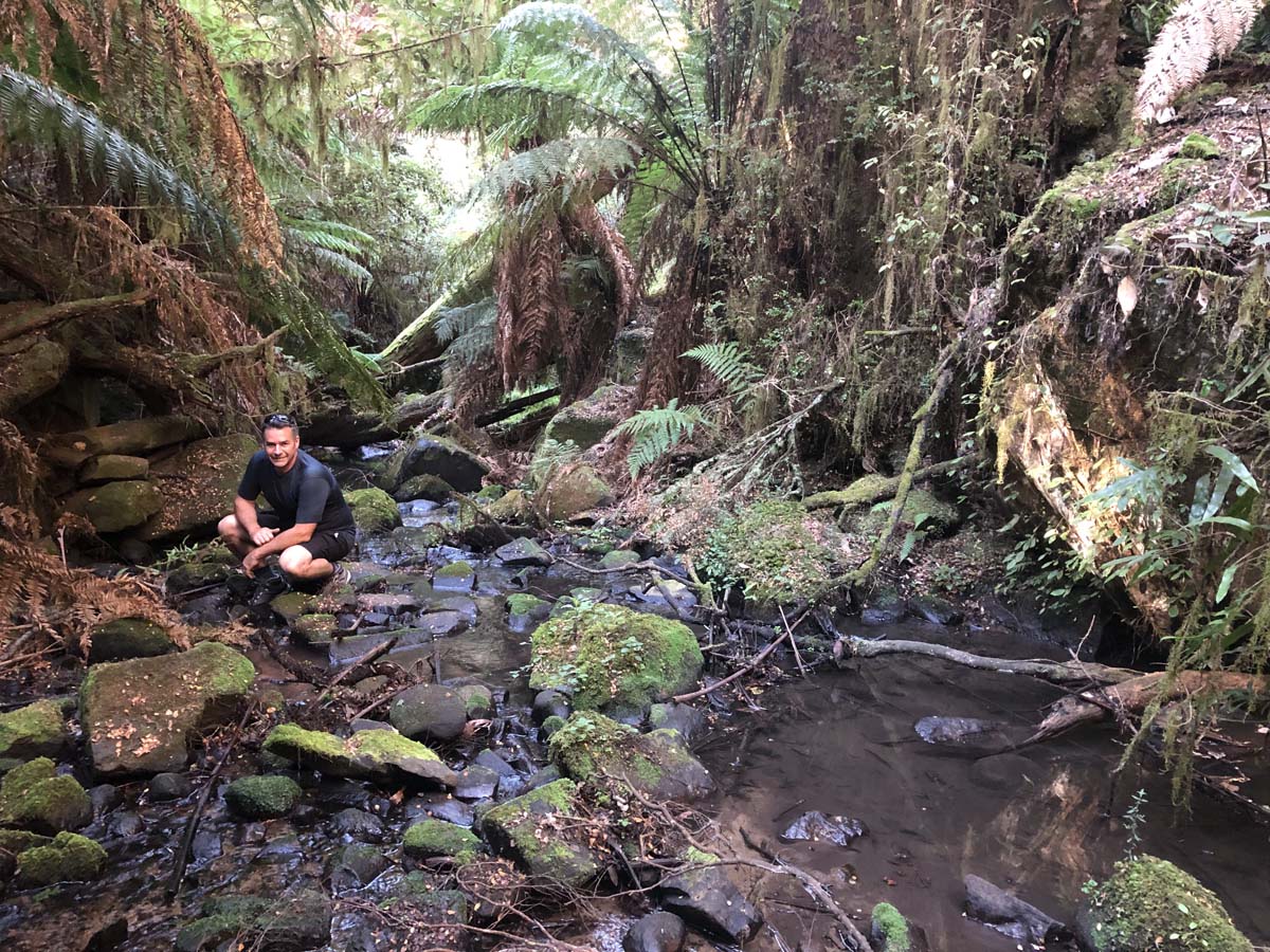 Tarra bulga scenic circuit 62