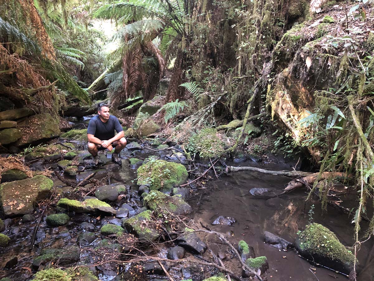 Tarra bulga scenic circuit 63