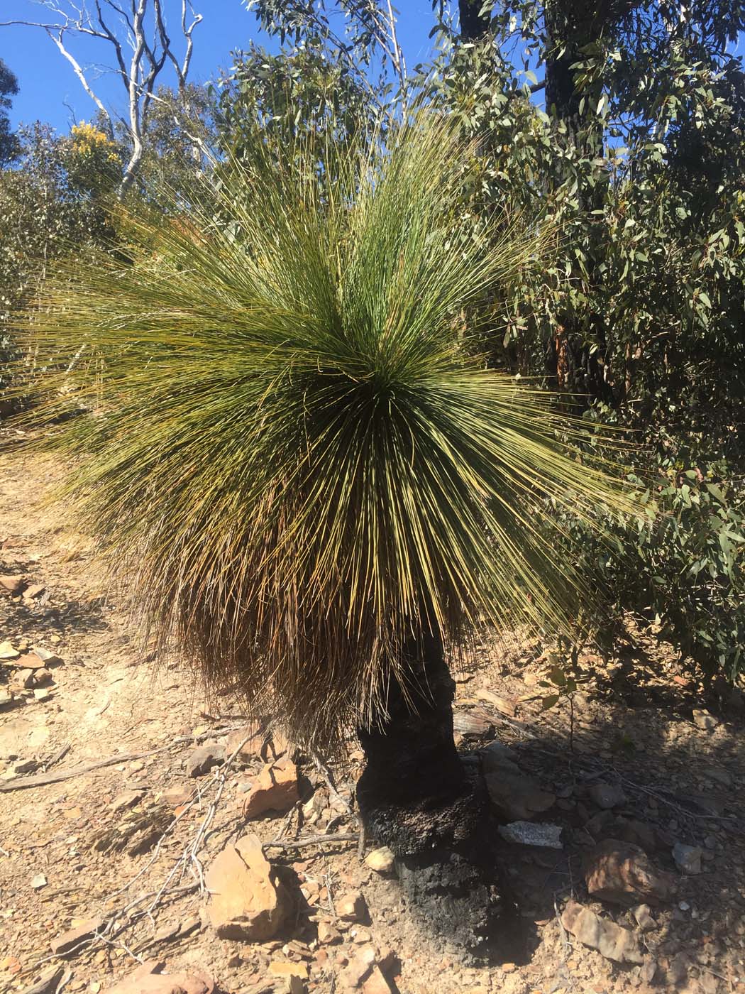 Ted errey nature circuit hike 1