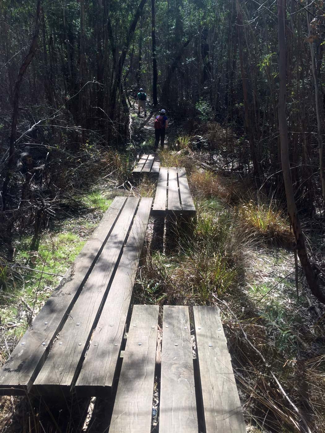 Ted errey nature circuit hike 13