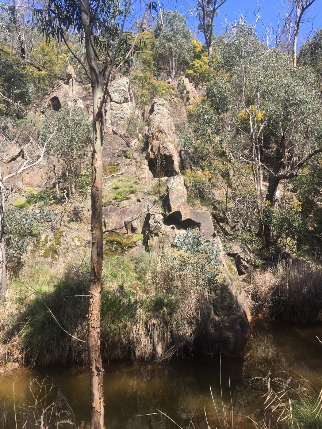 Ted errey nature circuit hike 14