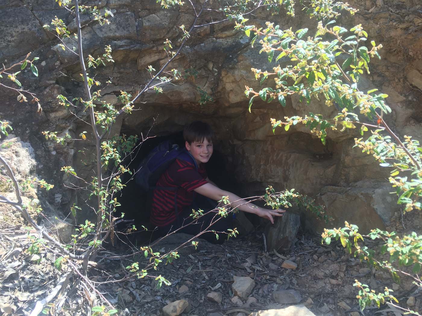 Ted errey nature circuit hike 16