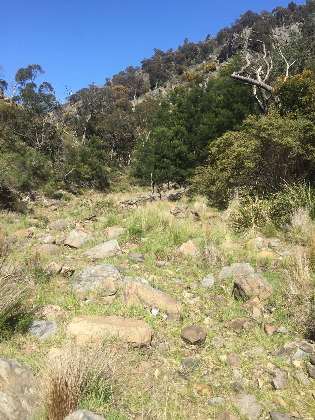 Ted errey nature circuit hike 17