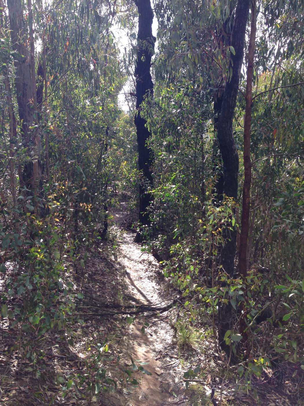 Ted errey nature circuit hike 23