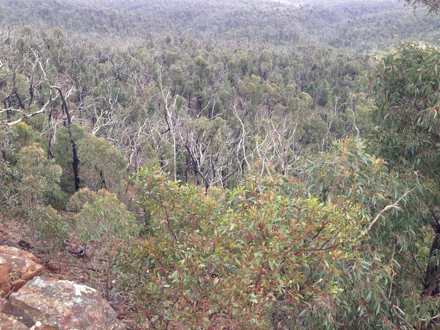 Ted errey nature circuit hike 29
