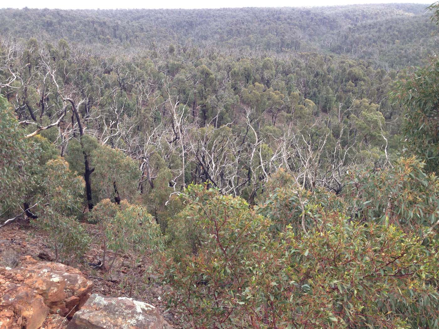 Ted errey nature circuit hike 31