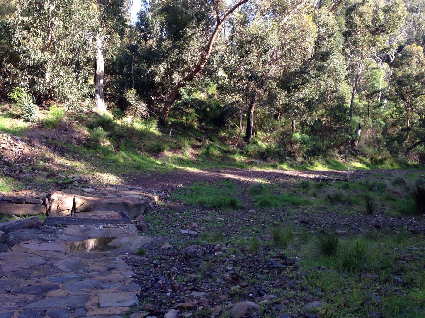 Ted errey nature circuit hike 33