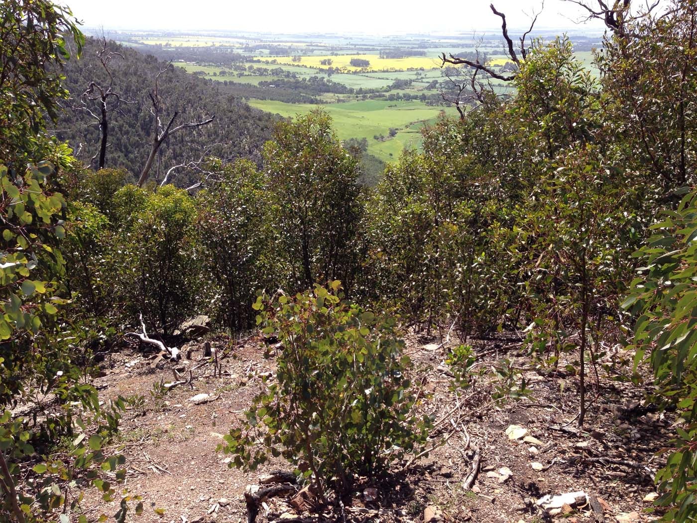 Ted errey nature circuit hike 37