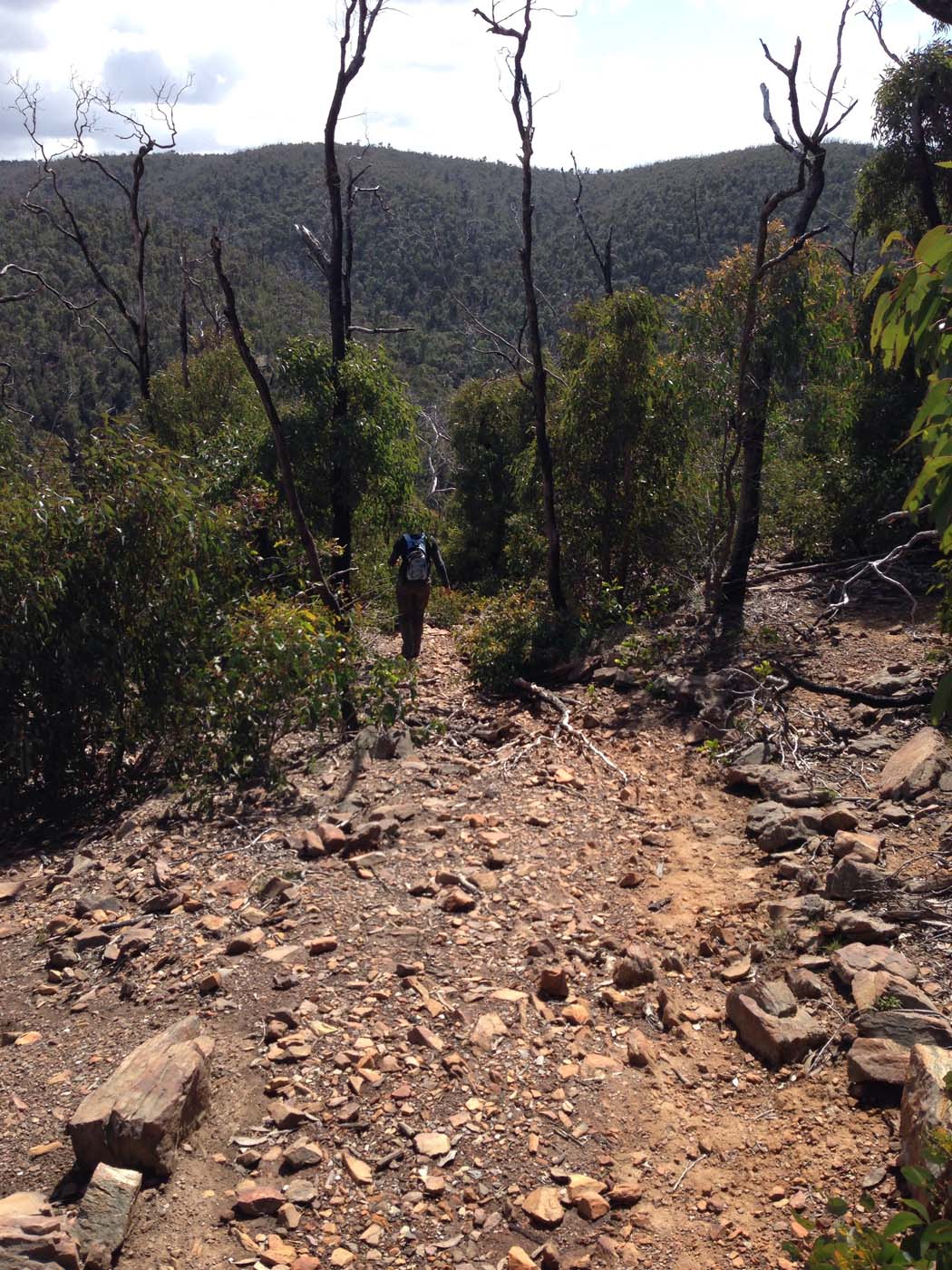 Ted errey nature circuit hike 38