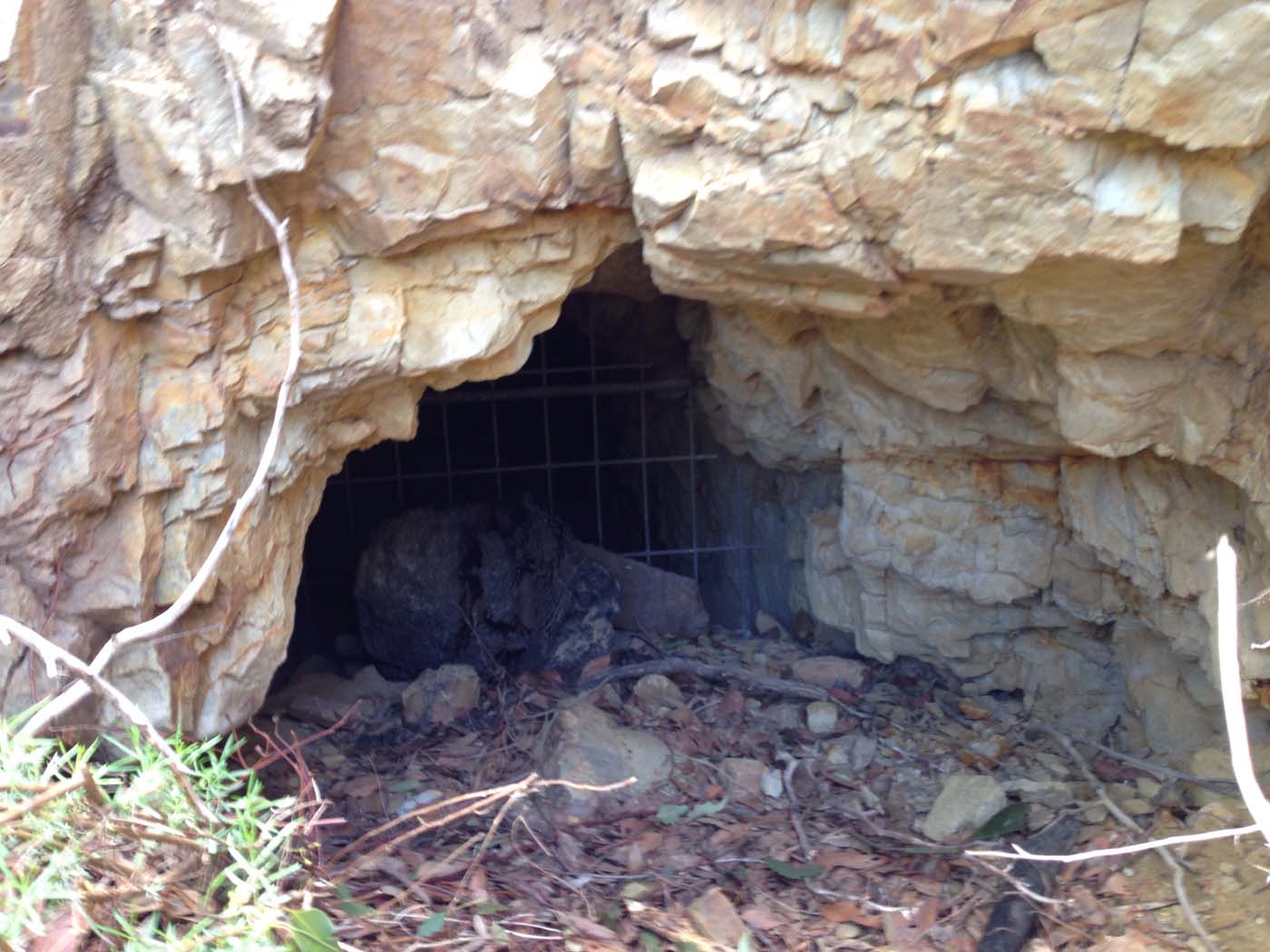 Ted errey nature circuit hike 40