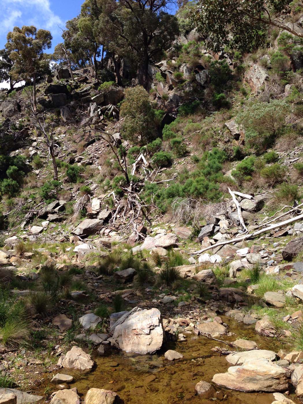 Ted errey nature circuit hike 41