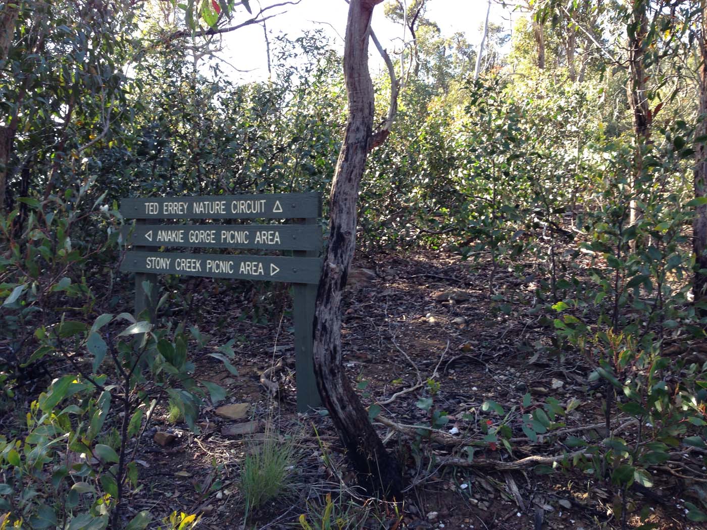 Ted errey nature circuit hike 45