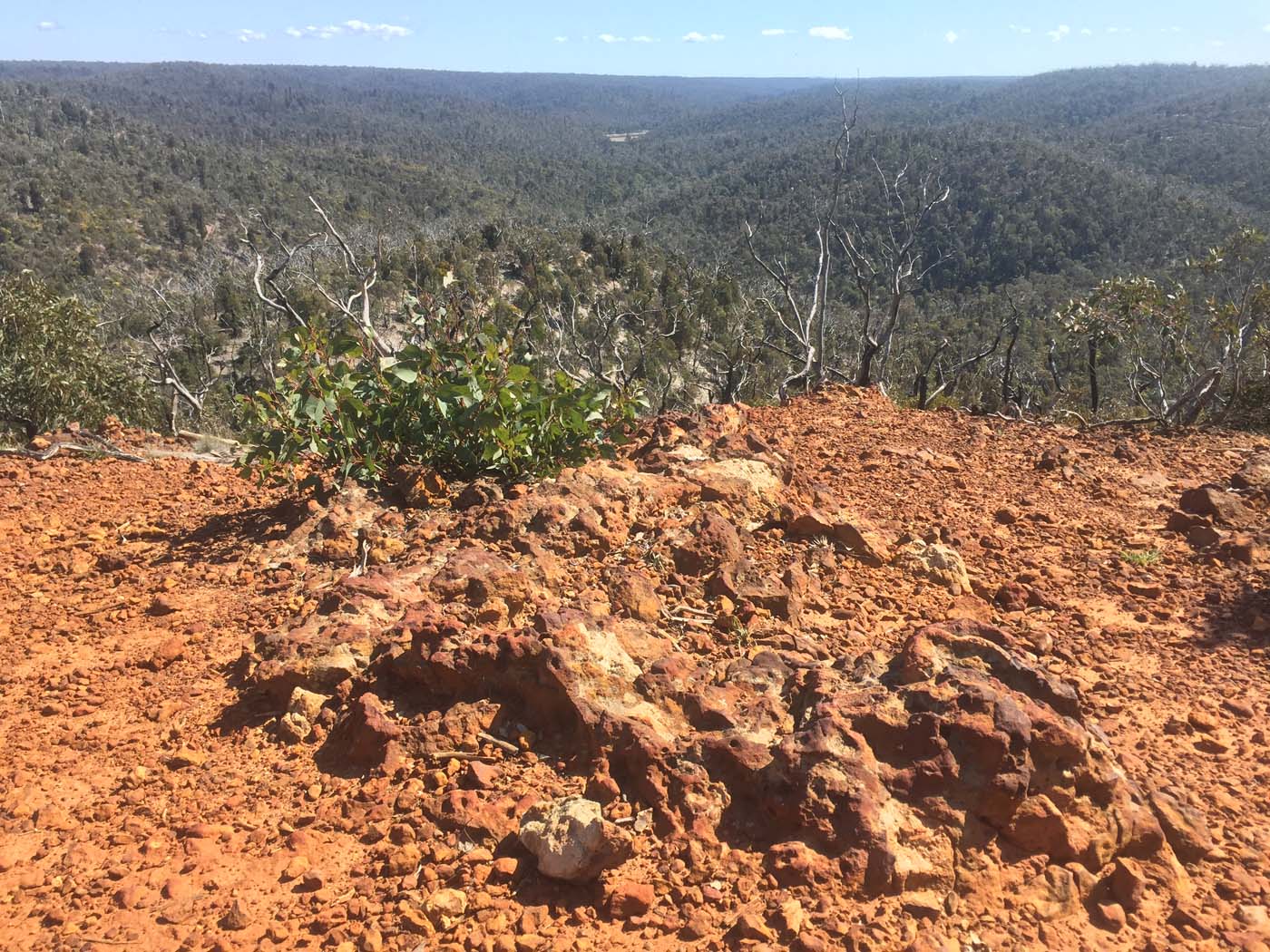Ted errey nature circuit hike 5