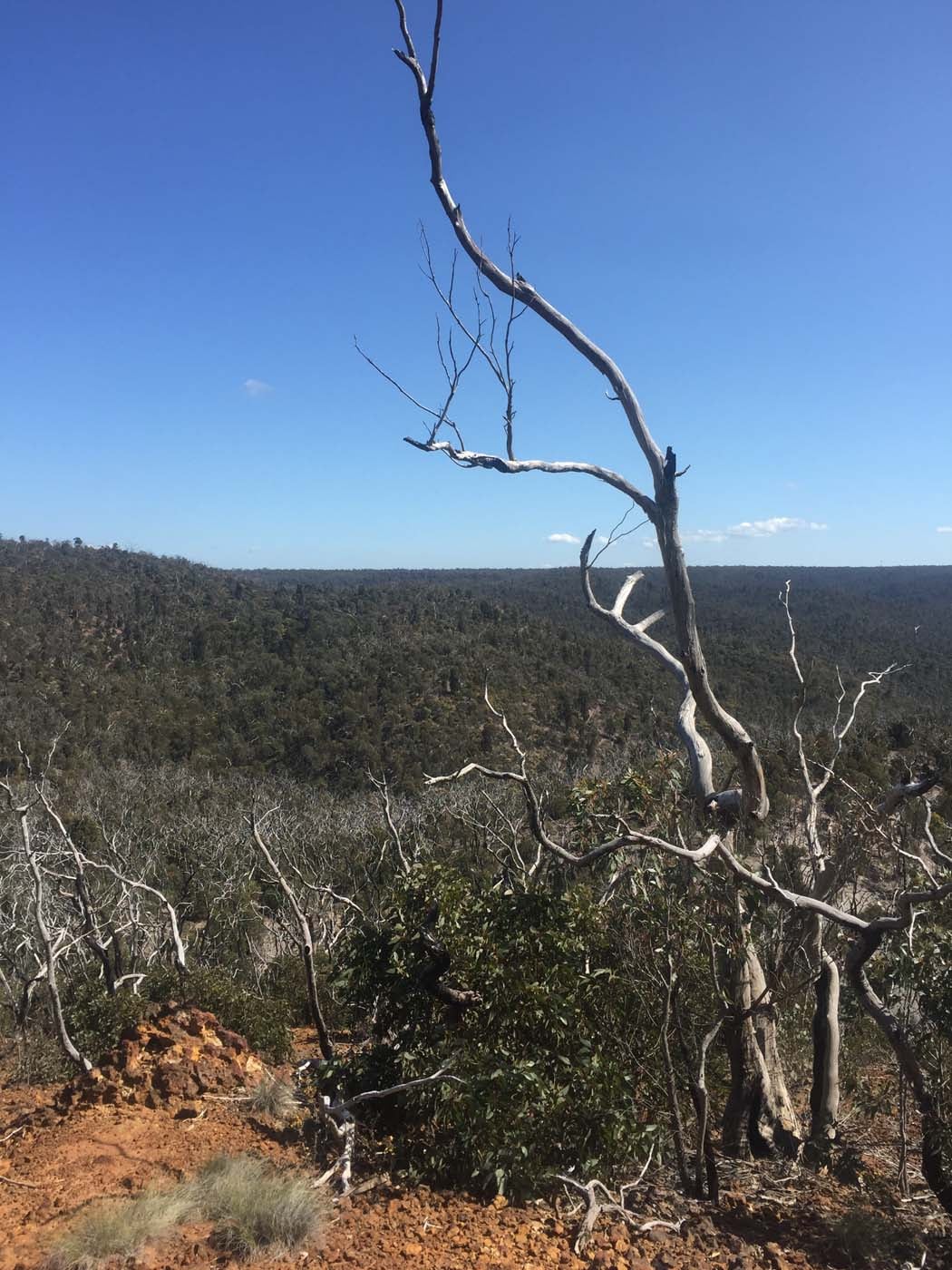Ted errey nature circuit hike 6