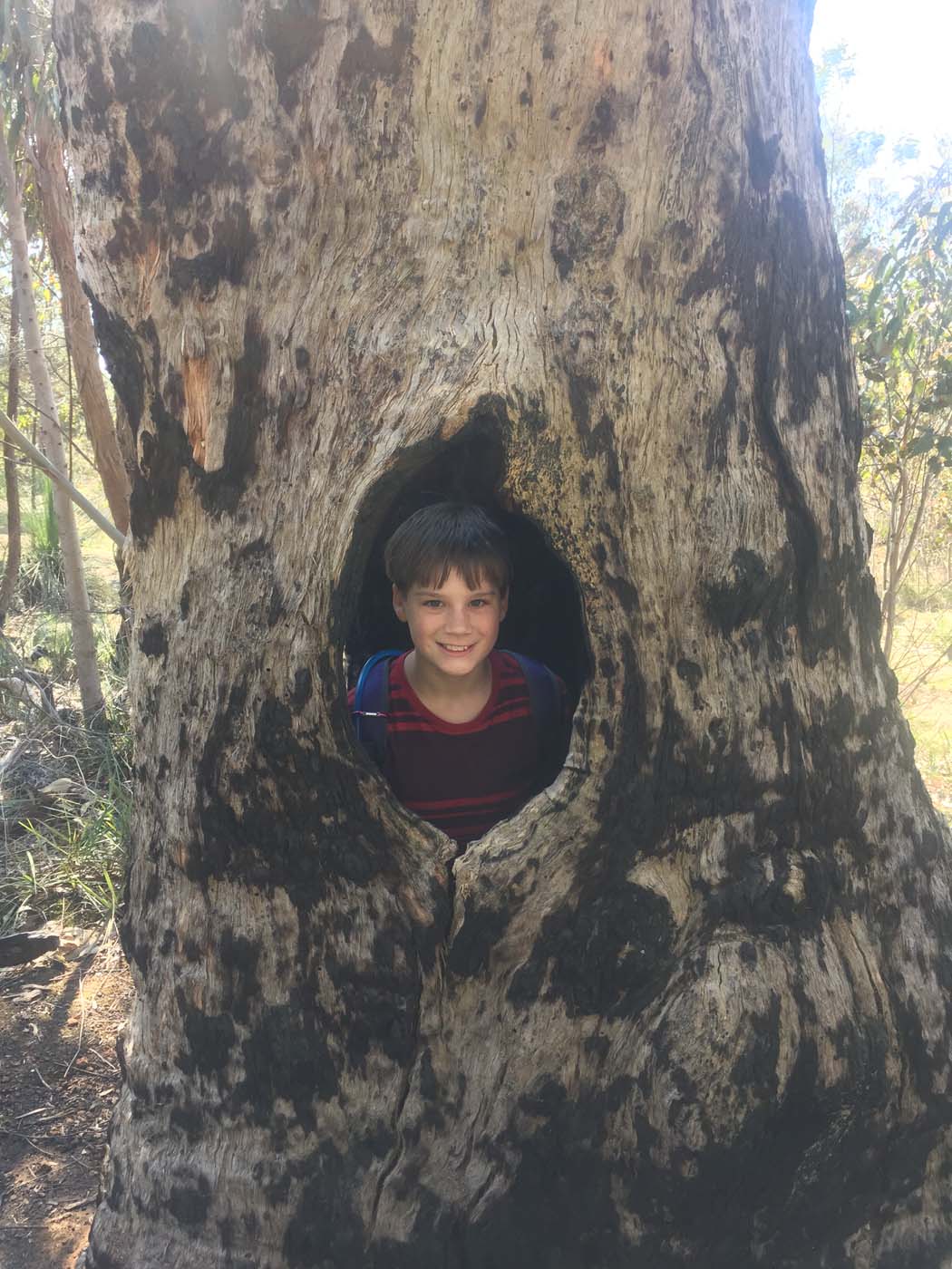 Ted errey nature circuit hike 7