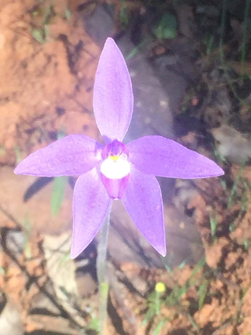 Ted errey nature circuit hike 8