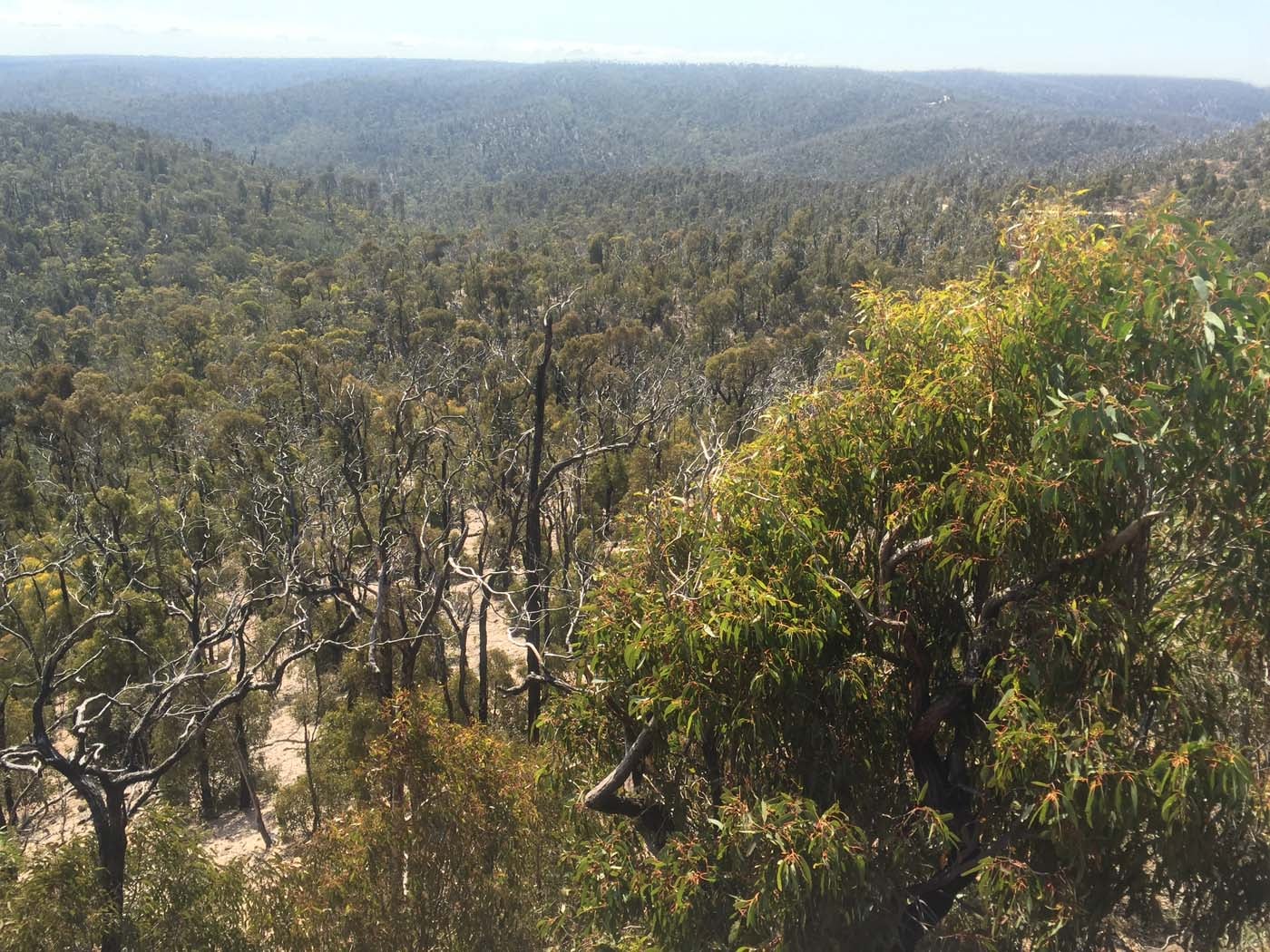 Ted errey nature circuit hike 9