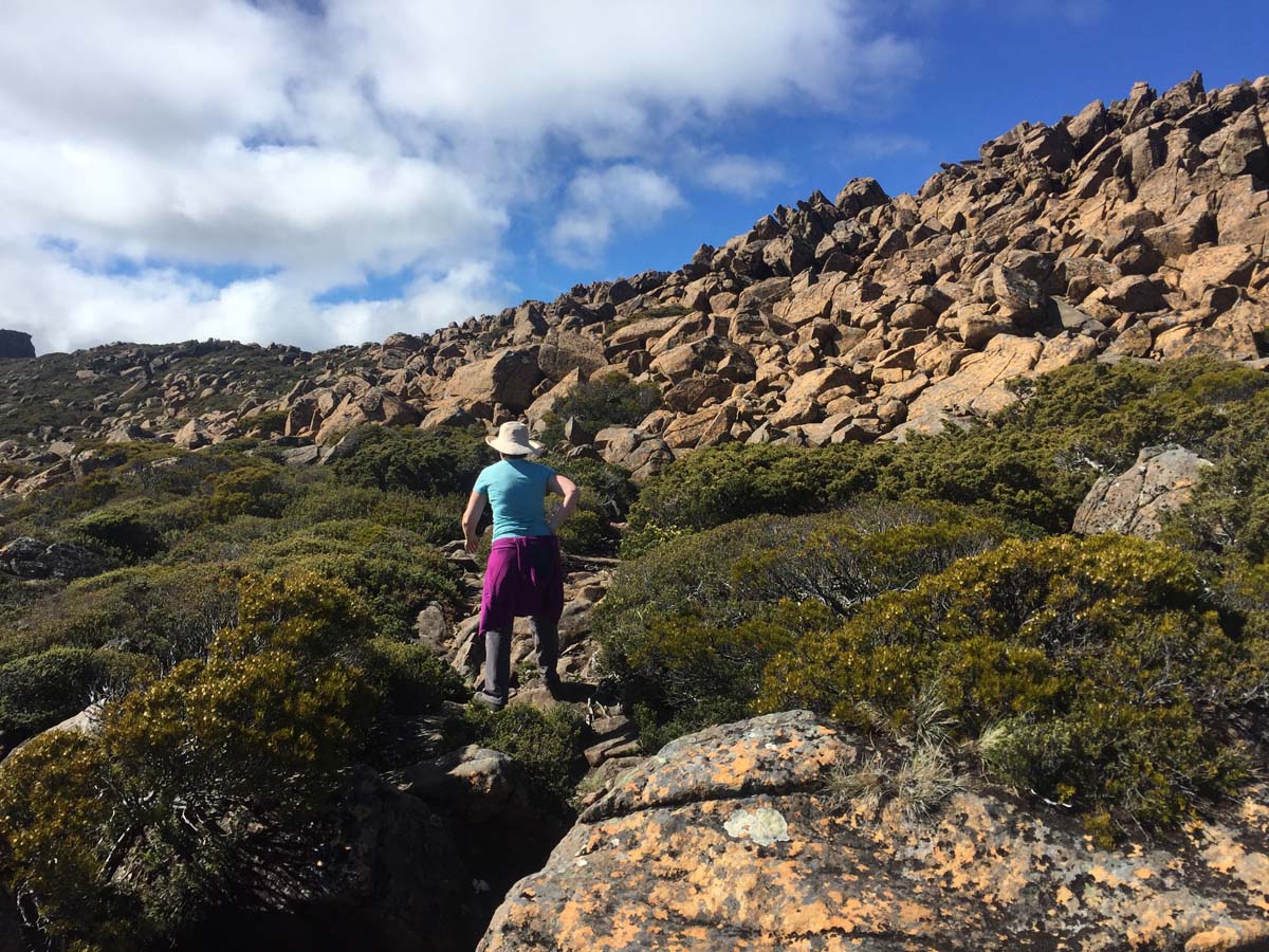 The acropolis summit hike 27