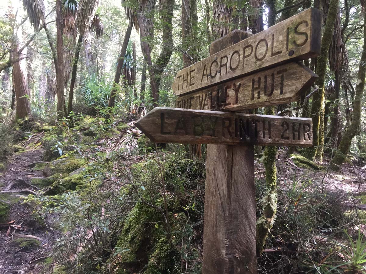 The acropolis summit hike 53