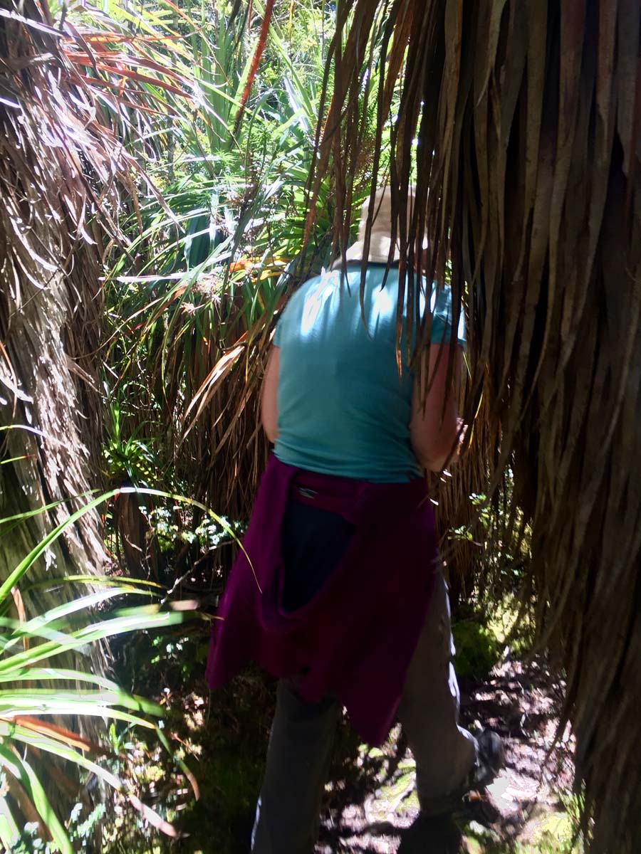 The acropolis summit hike 58