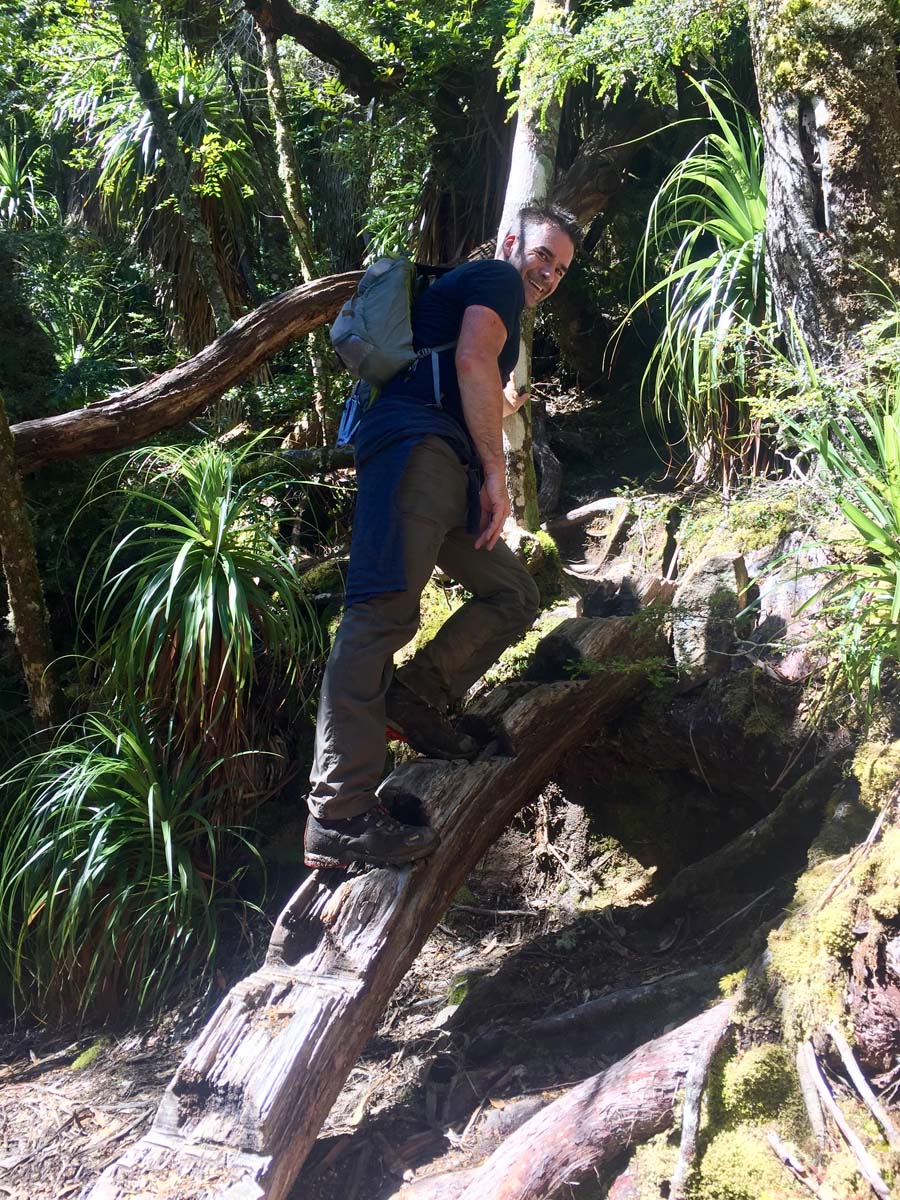 The acropolis summit hike 65