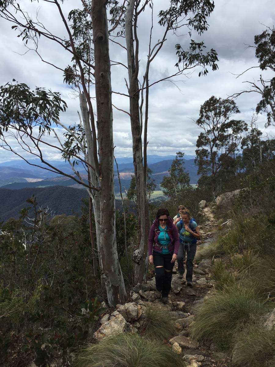 The big walk 11
