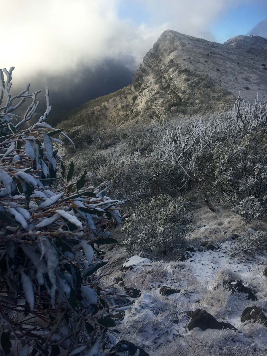The bluff trail circuit hike 43