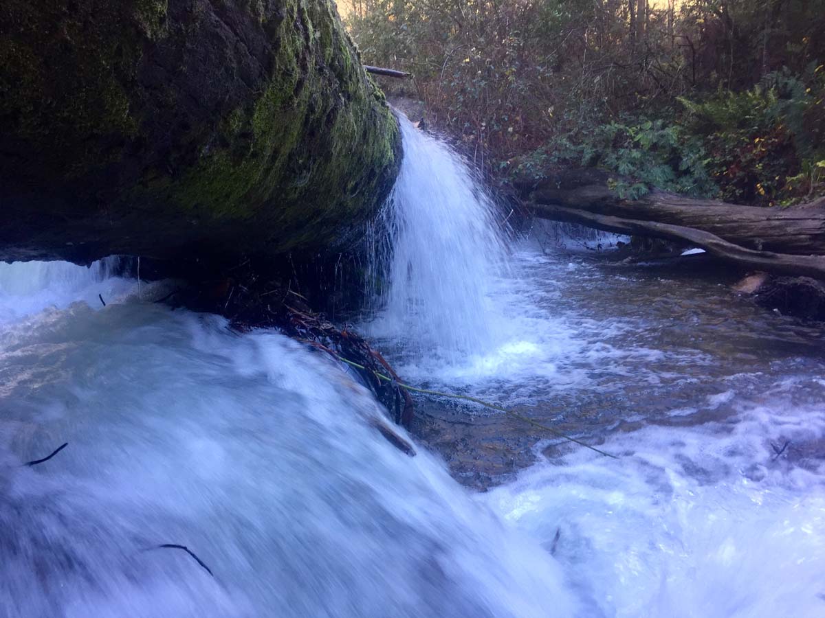 The bluff trail circuit hike 70