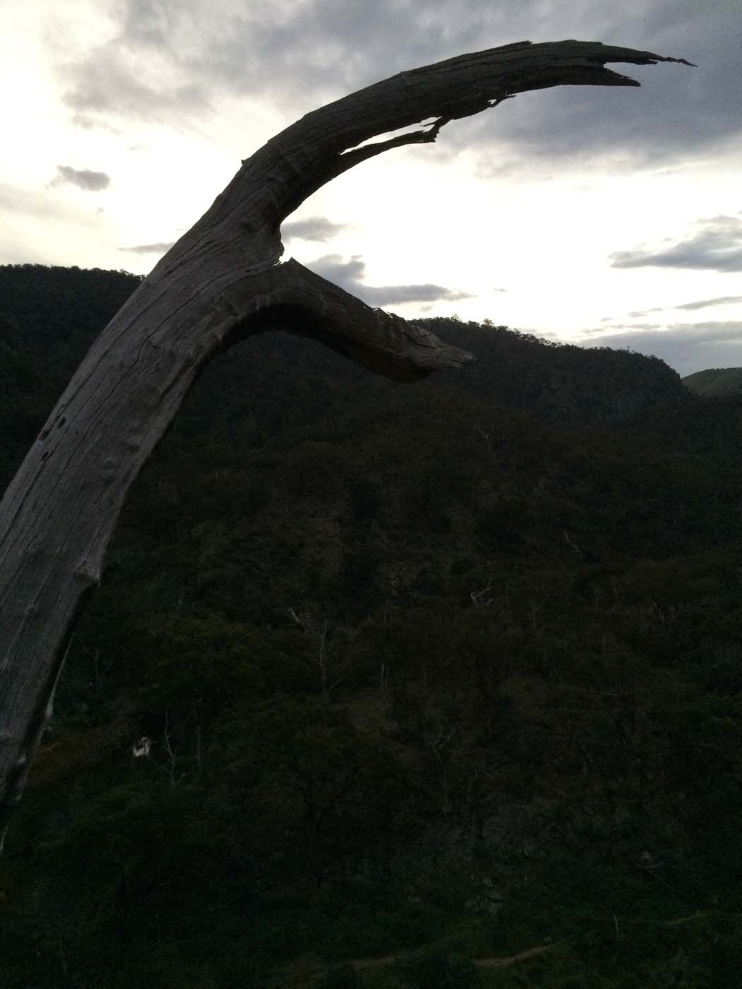 The bluff, pyramid rock & ironbark gorge hike (1)