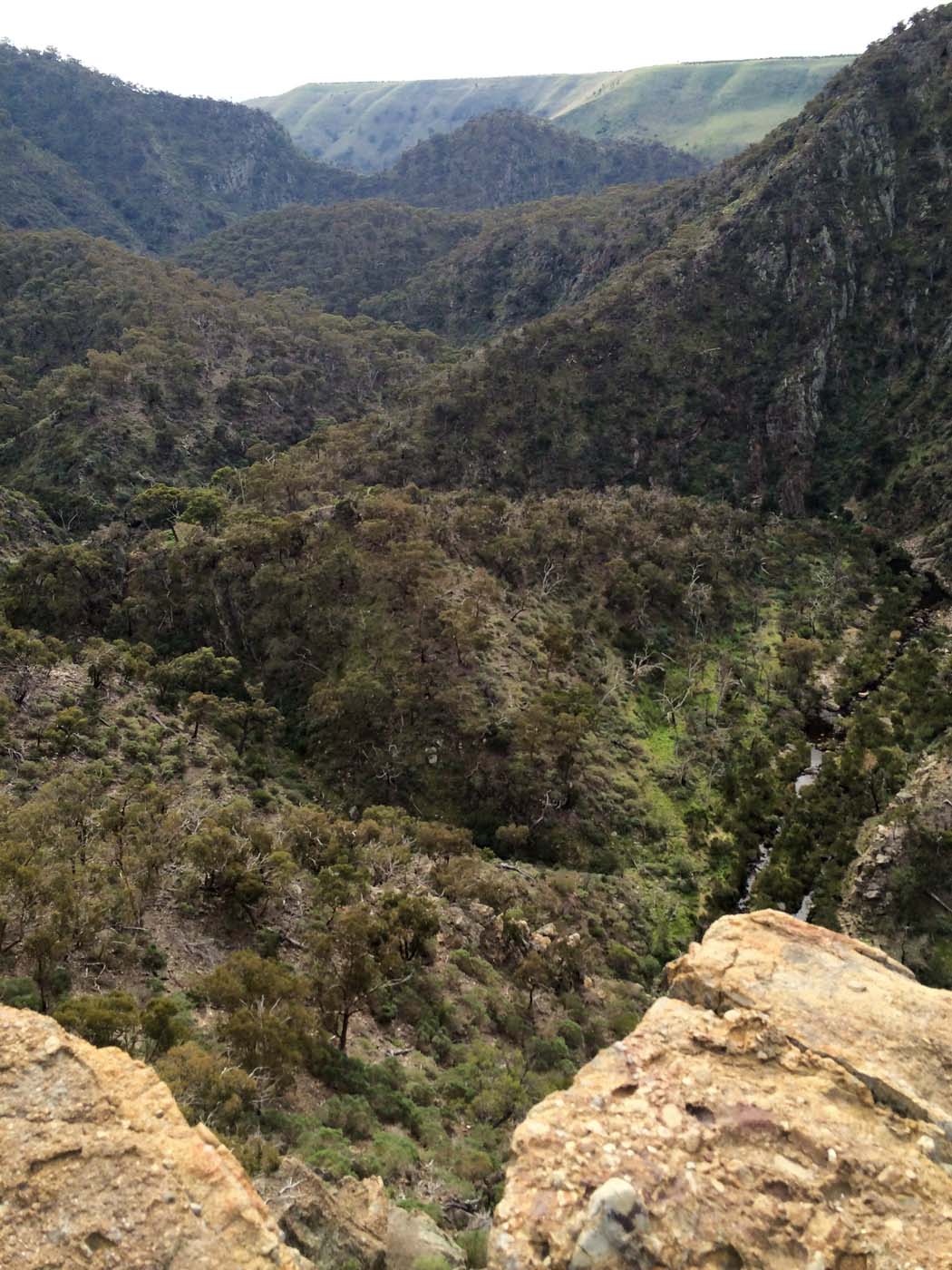 The bluff, pyramid rock & ironbark gorge hike (16)
