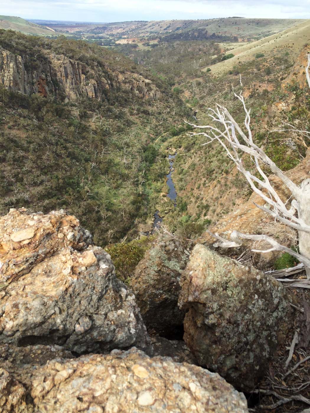 The bluff, pyramid rock & ironbark gorge hike (17)