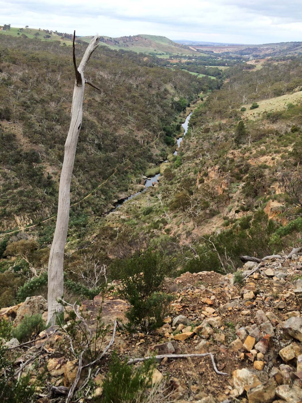 The bluff, pyramid rock & ironbark gorge hike (18)