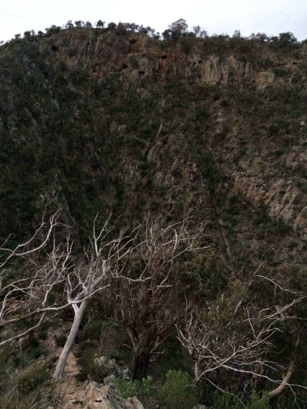 The bluff, pyramid rock & ironbark gorge hike (2)