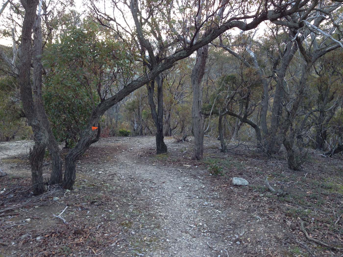 The bluff, pyramid rock & ironbark gorge hike (23)