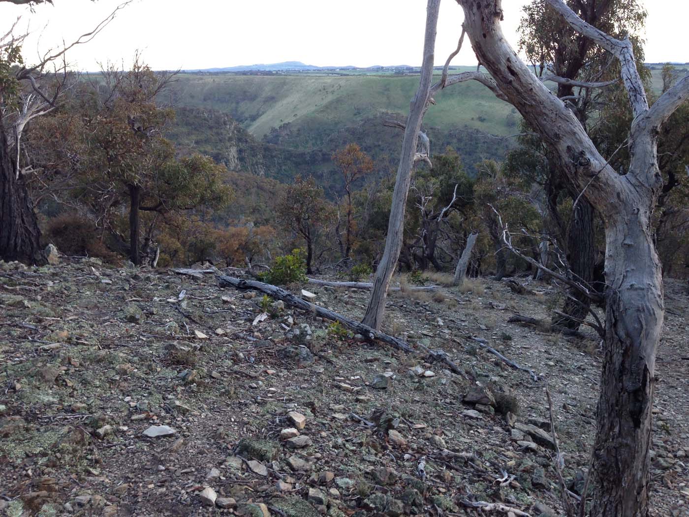 The bluff, pyramid rock & ironbark gorge hike (24)