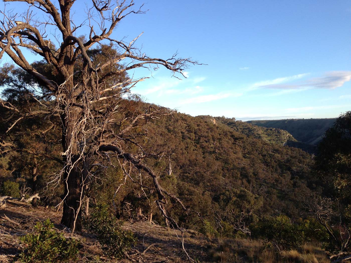 The bluff, pyramid rock & ironbark gorge hike (27)