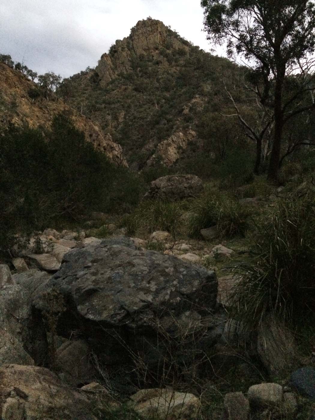 The bluff, pyramid rock & ironbark gorge hike (3)