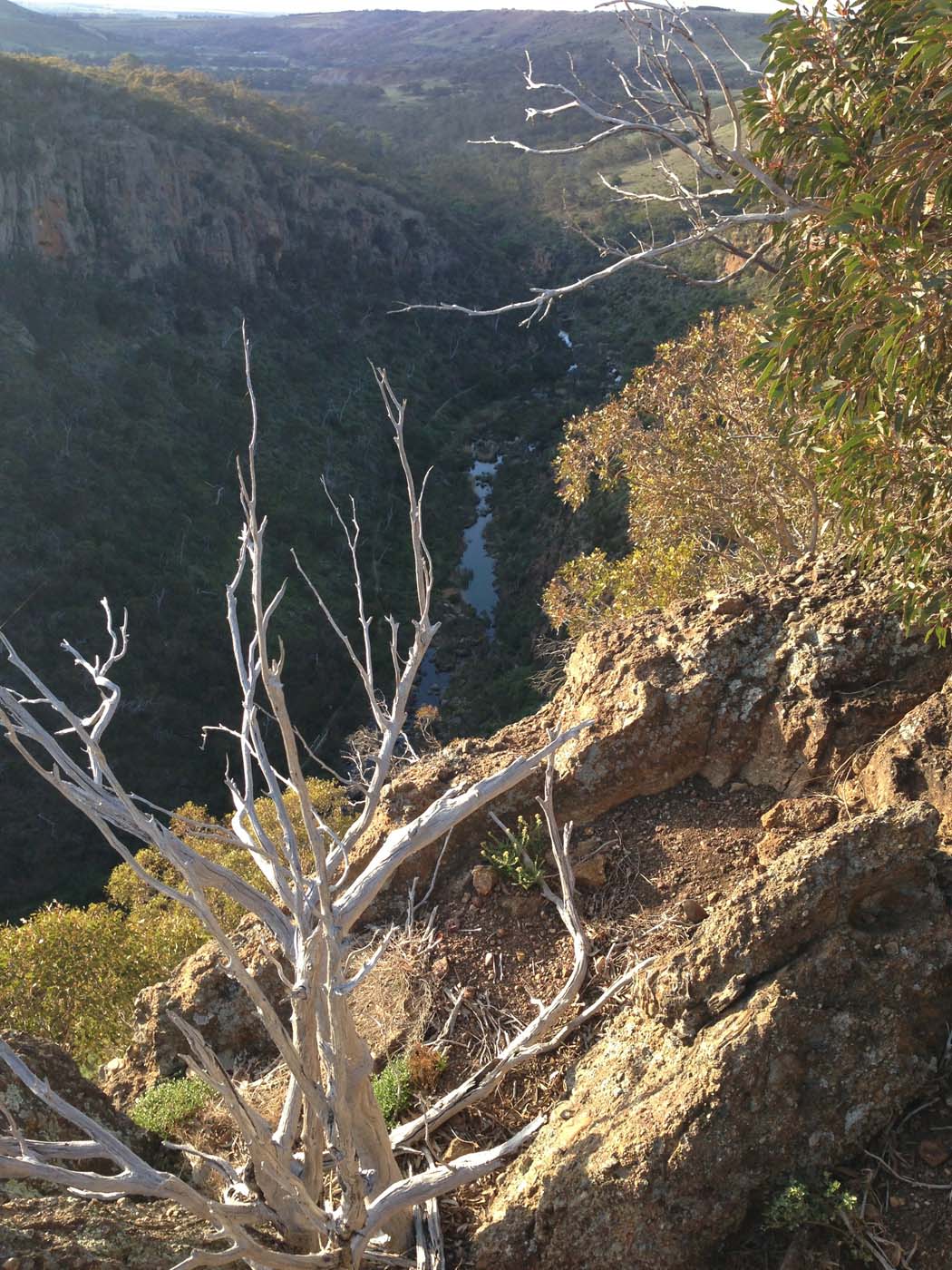 The bluff, pyramid rock & ironbark gorge hike (32)