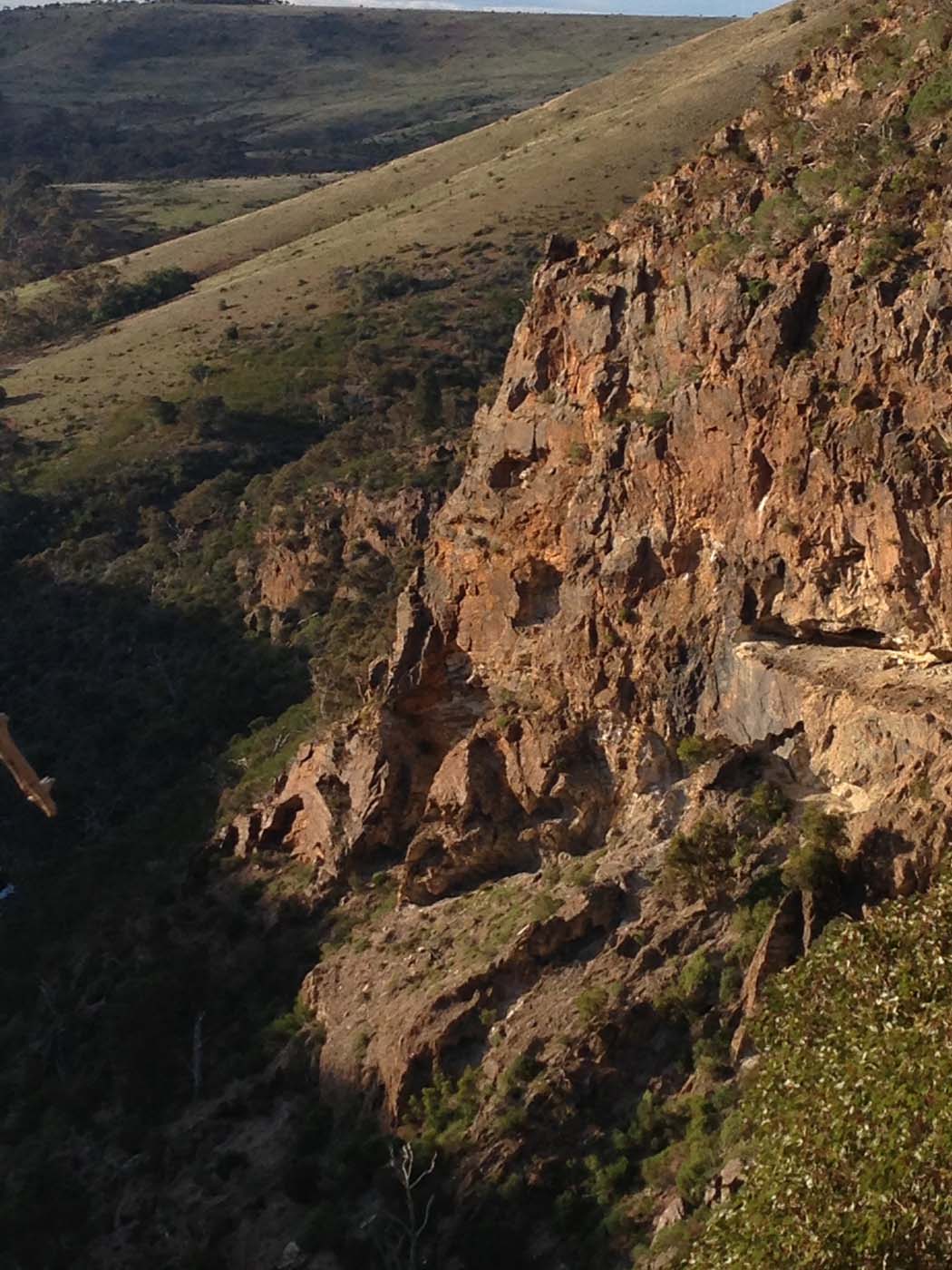 The bluff, pyramid rock & ironbark gorge hike (34)
