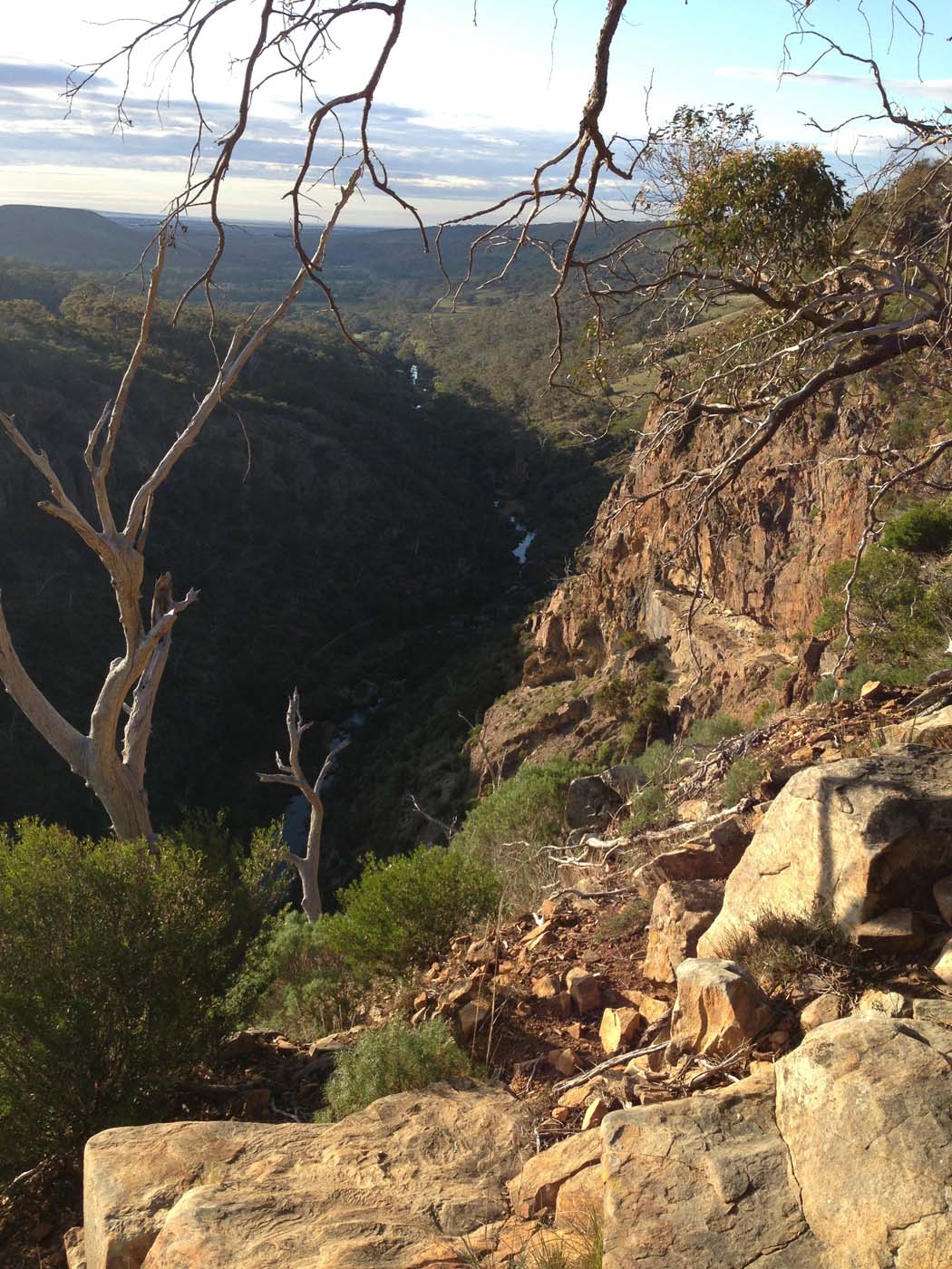 The bluff, pyramid rock & ironbark gorge hike (35)