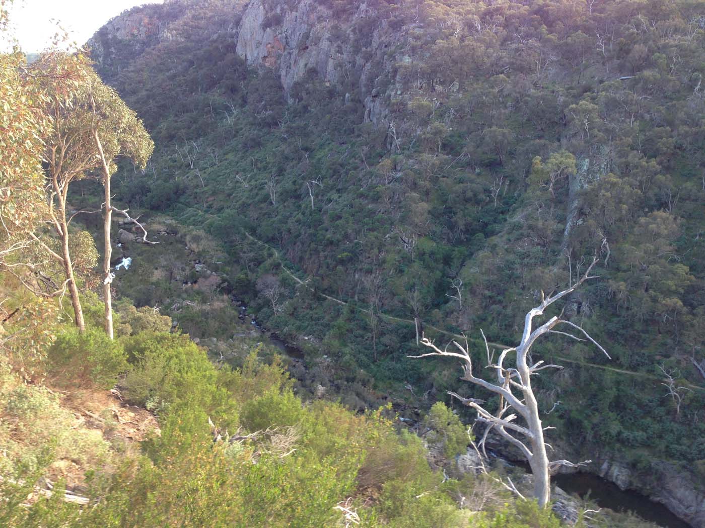 The bluff, pyramid rock & ironbark gorge hike (36)