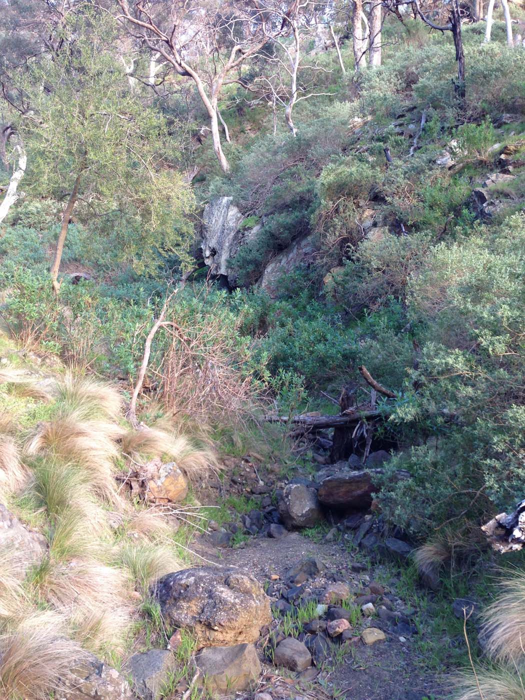 The bluff, pyramid rock & ironbark gorge hike (37)