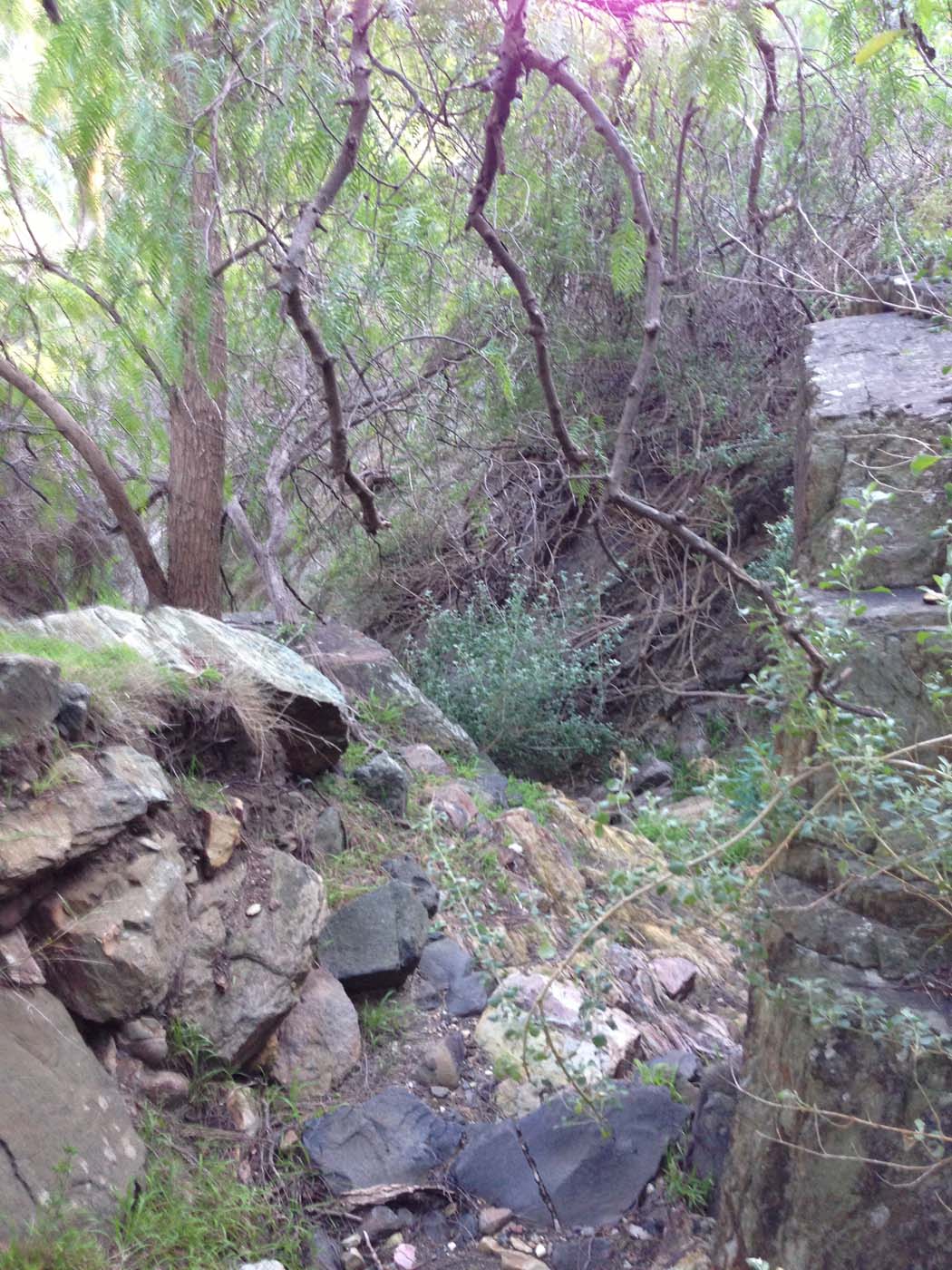 The bluff, pyramid rock & ironbark gorge hike (38)