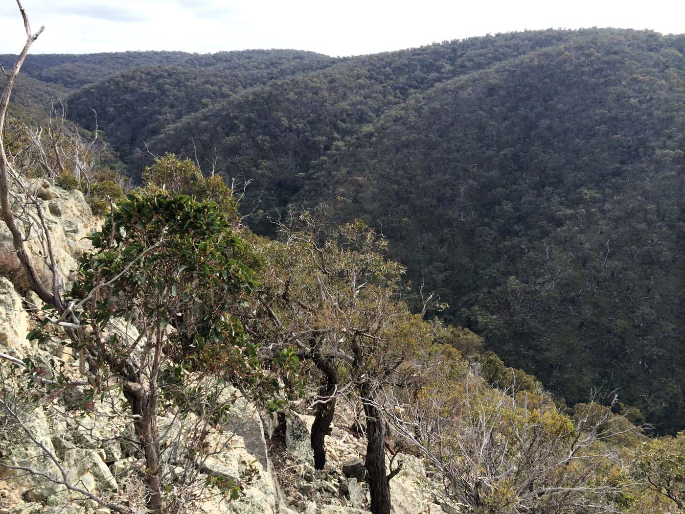 The bluff, pyramid rock & ironbark gorge hike (4)